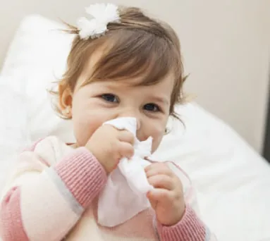 Baby Hand and Mouth Wipes