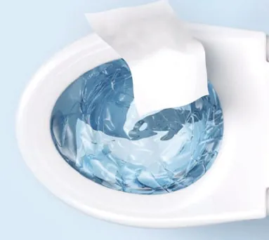 Flushable Moist Toilet Tissue